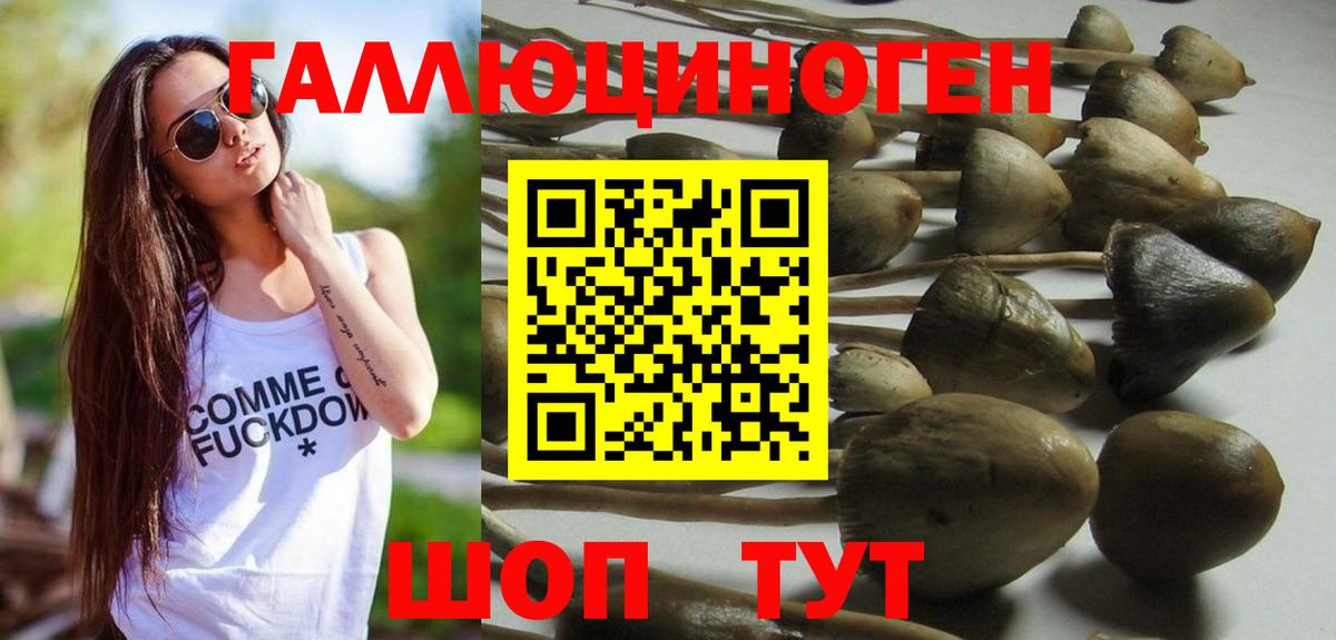 Псилоцибиновые грибы Psilocybe  Галлюциногенные грибы прущие грибы  Вход с VPN  Владикавказ 